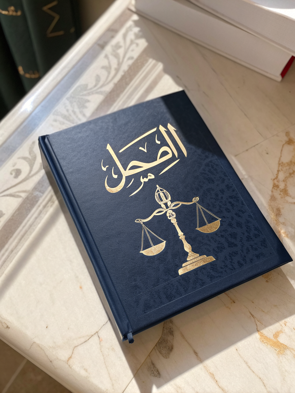 Capa do livro Direito Constitucional Contemporâneo